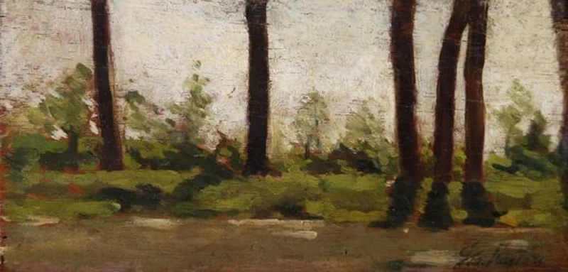 Sentiero tra gli alberi